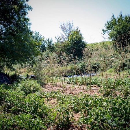Creysse  Tente En Permaculture Pirate מראה חיצוני תמונה