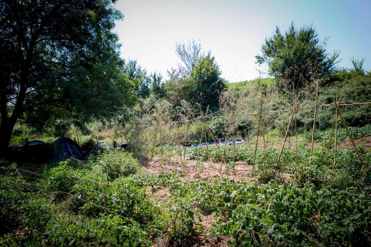 Creysse  Tente En Permaculture Pirate מראה חיצוני תמונה